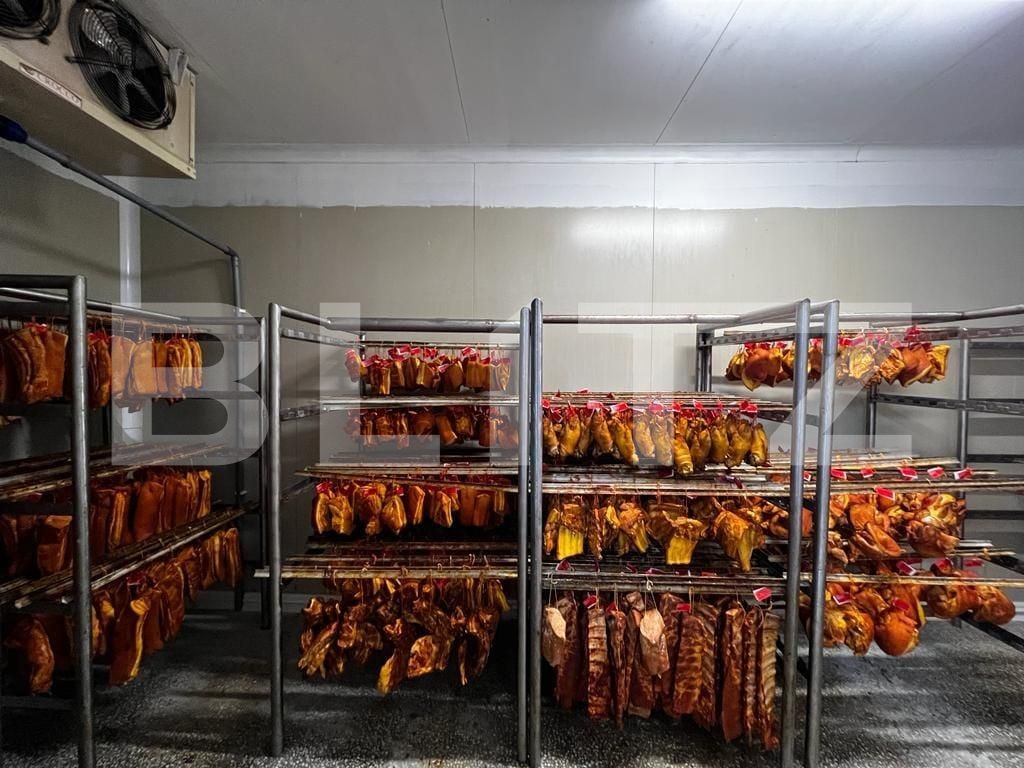 Teren de vânzare Recas - 132098TV | BLITZ Timișoara | Poza14