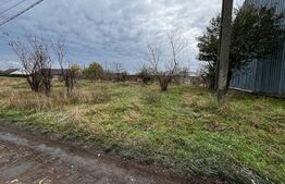 Mare teren ,1490 mp, cu apartament de 212 mp, Dudestii Noi