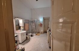 Ocazie, apartament 220 mp in Piata Victoriei, vedere la catedrala/Timisoara