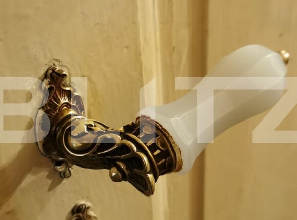 Apartament de vânzare 4+ camere Central - 132172AV | BLITZ Timișoara | Poza10