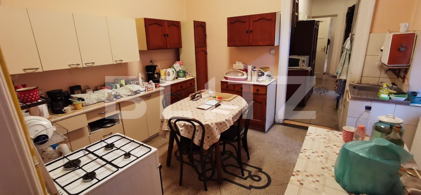 Apartament de vânzare 4+ camere Central - 132172AV | BLITZ Timișoara | Poza8