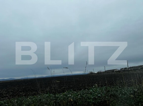 Teren de vânzare Exterior Est - 132216TV | BLITZ Timișoara | Poza6