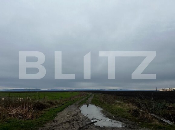 Teren de vânzare Exterior Est - 132216TV | BLITZ Timișoara | Poza10