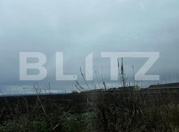 Teren de vânzare Exterior Est - 132216TV | BLITZ Timișoara | Poza4