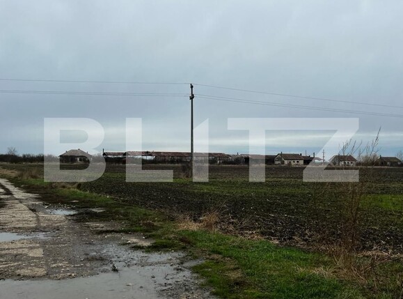 Teren de vânzare Exterior Est - 132216TV | BLITZ Timișoara | Poza9