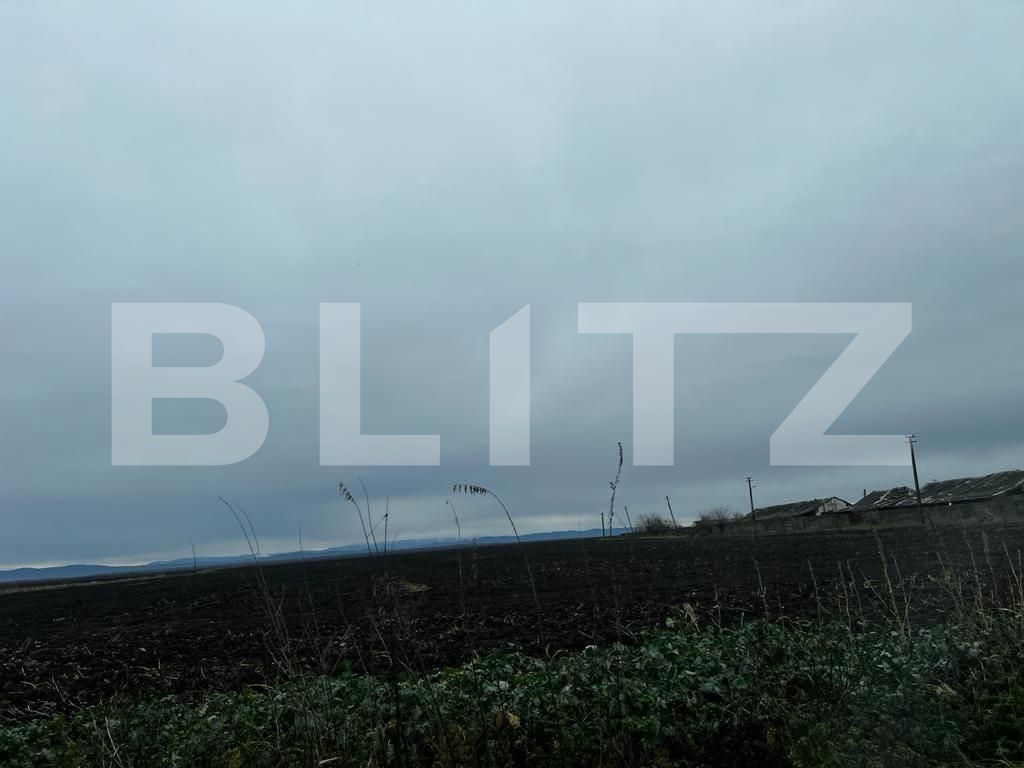 Teren de vânzare Exterior Est - 132216TV | BLITZ Timișoara | Poza6