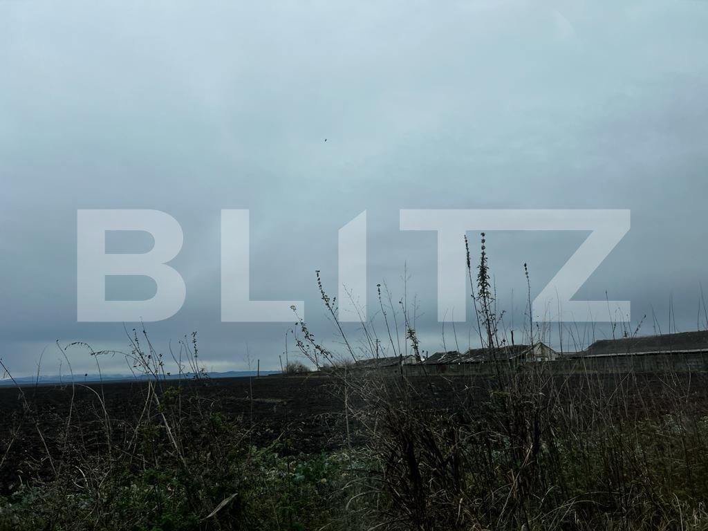 Teren de vânzare Exterior Est - 132216TV | BLITZ Timișoara | Poza4