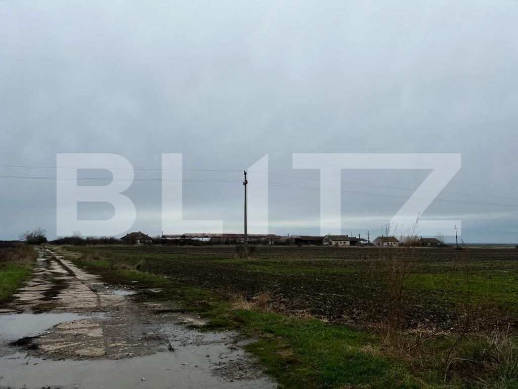 Teren de vânzare Exterior Est - 132216TV | BLITZ Timișoara | Poza5