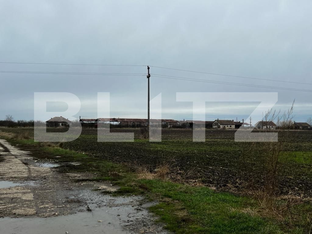 Teren de vânzare Exterior Est - 132216TV | BLITZ Timișoara | Poza9