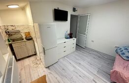 Garsoniera 20 mp, pret bun, zona Iosefin