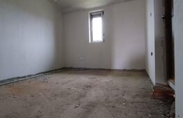 Casa 5 camere, semifinisata, 497mp teren, Becicherecu Mic,