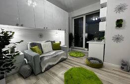 Apartament 2 camere, terasa de 15 mp, Lipovei