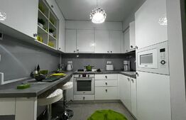 Apartament 2 camere, terasa de 15 mp, Lipovei