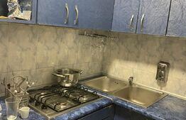 Spațiu Comercial cu Service Auto, Vulcanizare și Vânzare de Anvelope!