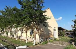 Casa individuala 6 camere, 220mp, Checea