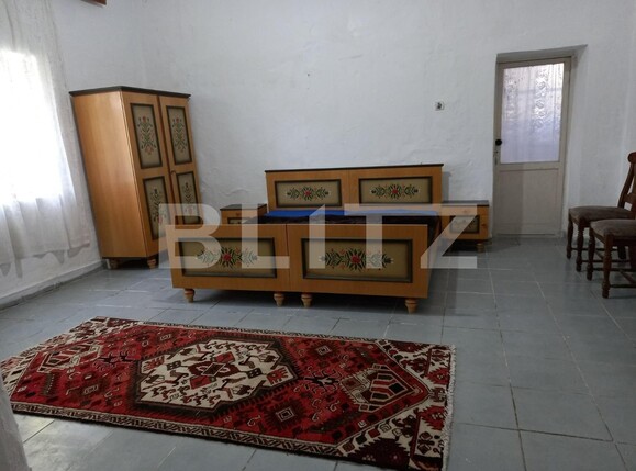 Casa de vânzare 6 camere Exterior Est - 132562CV | BLITZ Timișoara | Poza2