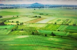 Teren la malul Dunarii,  2100mp, pret negociabil.