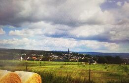 Teren la malul Dunarii, in zona Divici, 2900mp, pret negociabi