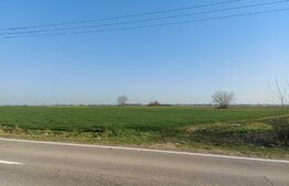 Teren arabil intravilan-scop industrial, 11600 mp, Sag