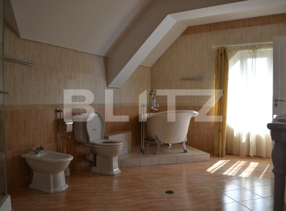 Casa de vânzare 6 camere Dumbravita - 132715CV | BLITZ Timișoara | Poza7