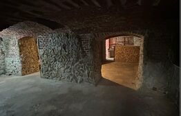 De vanzare spatiu comercial, 76 mp, Piata Libertatii, cu chiriasi, INVESTITIE.