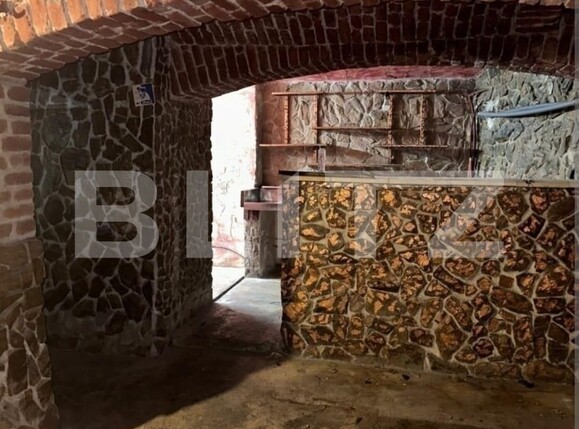 Spațiu comercial de închiriat Ultracentral - 133234SIC | BLITZ Timișoara | Poza1