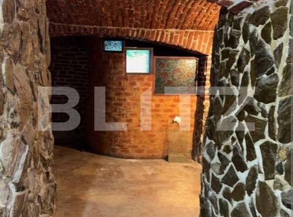 Spațiu comercial de închiriat Ultracentral - 133234SIC | BLITZ Timișoara | Poza6