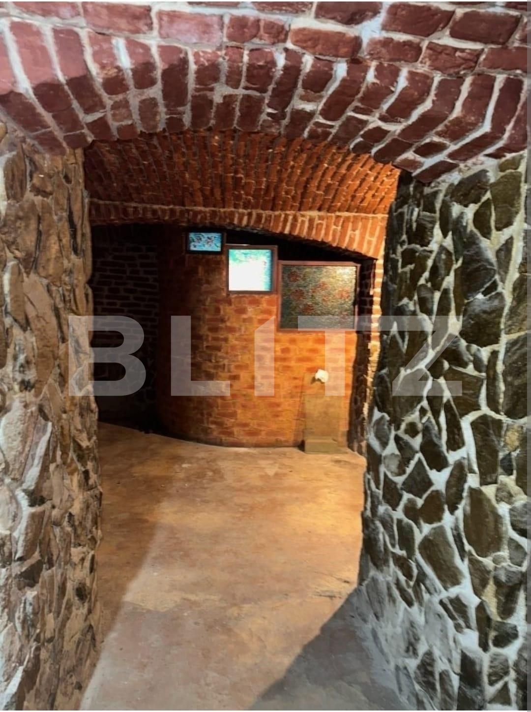 Spațiu comercial de închiriat Ultracentral - 133234SIC | BLITZ Timișoara | Poza6