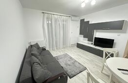 Super oferta! Apartament 2 camere, curte privata, loc de parcare, zona Calea Urseni