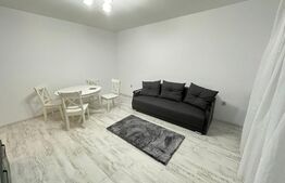 Super oferta! Apartament 2 camere, curte privata, loc de parcare, zona Calea Urseni