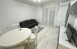 Super oferta! Apartament 2 camere, curte privata, loc de parcare, zona Calea Urseni