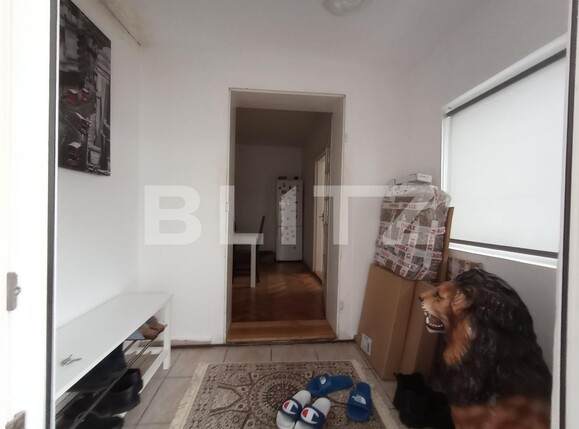 Casa de vânzare 7 camere Ronat - 133512CV | BLITZ Timișoara | Poza10