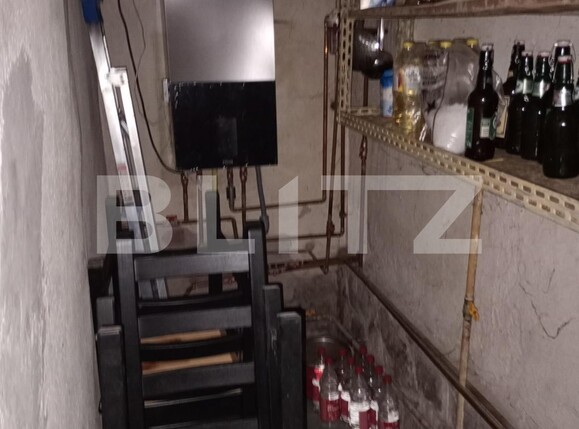 Casa de vânzare 7 camere Ronat - 133512CV | BLITZ Timișoara | Poza14