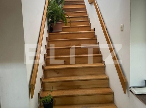 Casa de vânzare 8 camere Bogdanestilor - 133575CV | BLITZ Timișoara | Poza8