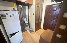 Apartament 2 camere, 48mp, decomandat, etaj intermediar, zona Calea Sagului