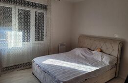 Casa 8 camere, 187 mp utili, 624 mp teren, Calea Bogdanestilor