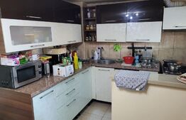 Casa 8 camere, 187 mp utili, 624 mp teren, Calea Bogdanestilor