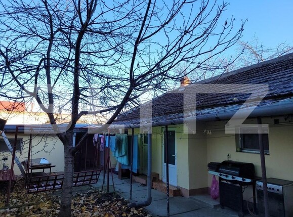 Casa de vânzare 8 camere Bogdanestilor - 133625CV | BLITZ Timișoara | Poza9