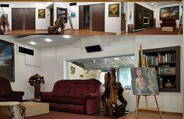 Vila spatioasa, 220 mp utili, 500 mp teren, Dumbravita