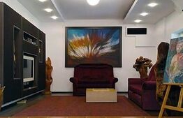 Vila spatioasa, 220 mp utili, 500 mp teren, Dumbravita