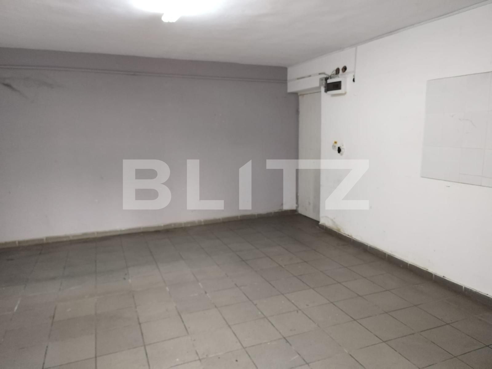 Spațiu comercial de închiriat Lipovei - 133740SIC | BLITZ Timișoara | Poza4