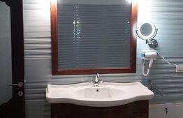 Vila 5 camere, 250 mp, cu depozit, garaj, birouri, Moșnița Noua