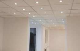 Vila 5 camere, 250 mp, cu depozit, garaj, birouri, Moșnița Noua