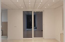 Vila 5 camere, 250 mp, cu depozit, garaj, birouri, Moșnița Noua