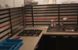 Vila 5 camere, 250 mp, cu depozit, garaj, birouri, Moșnița Noua