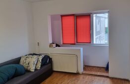 Apartament 1 camera, 25mp, zona Lipovei