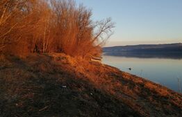 Teren, 120000mp, Insula Calinovat, Moldova Noua 