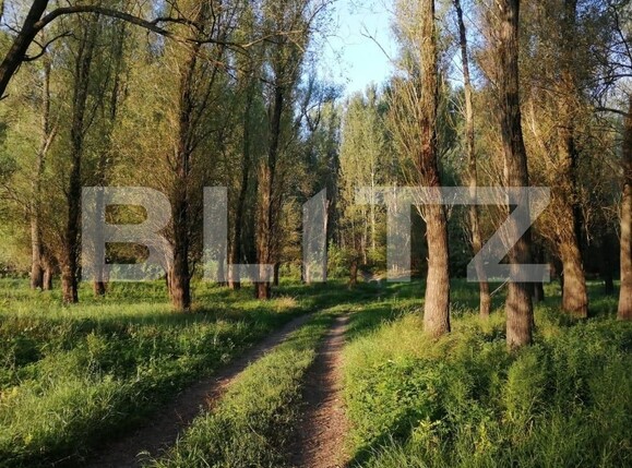 Teren de vânzare Exterior Sud - 133859TV | BLITZ Timișoara | Poza7