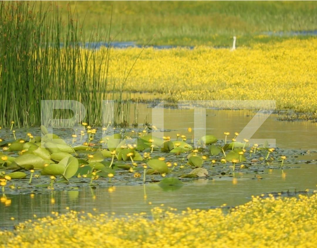 Teren de vânzare Exterior Sud - 133859TV | BLITZ Timișoara | Poza5
