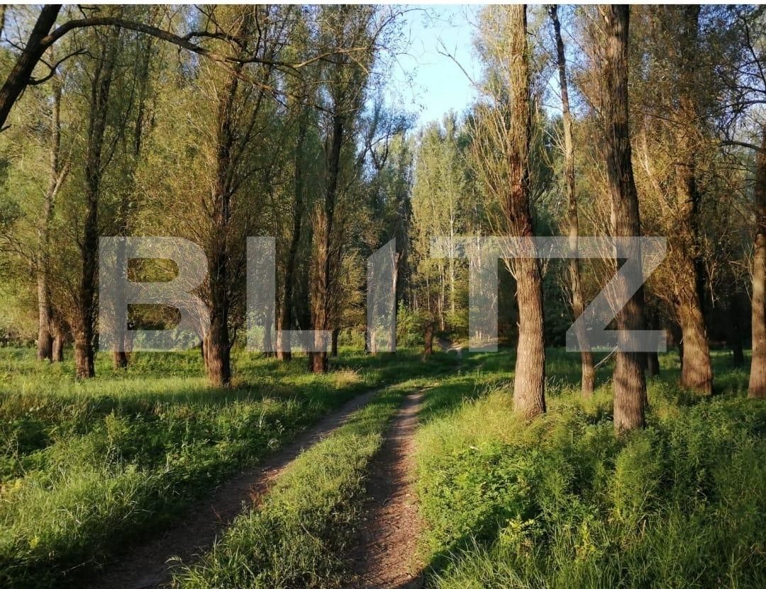 Teren de vânzare Exterior Sud - 133859TV | BLITZ Timișoara | Poza7